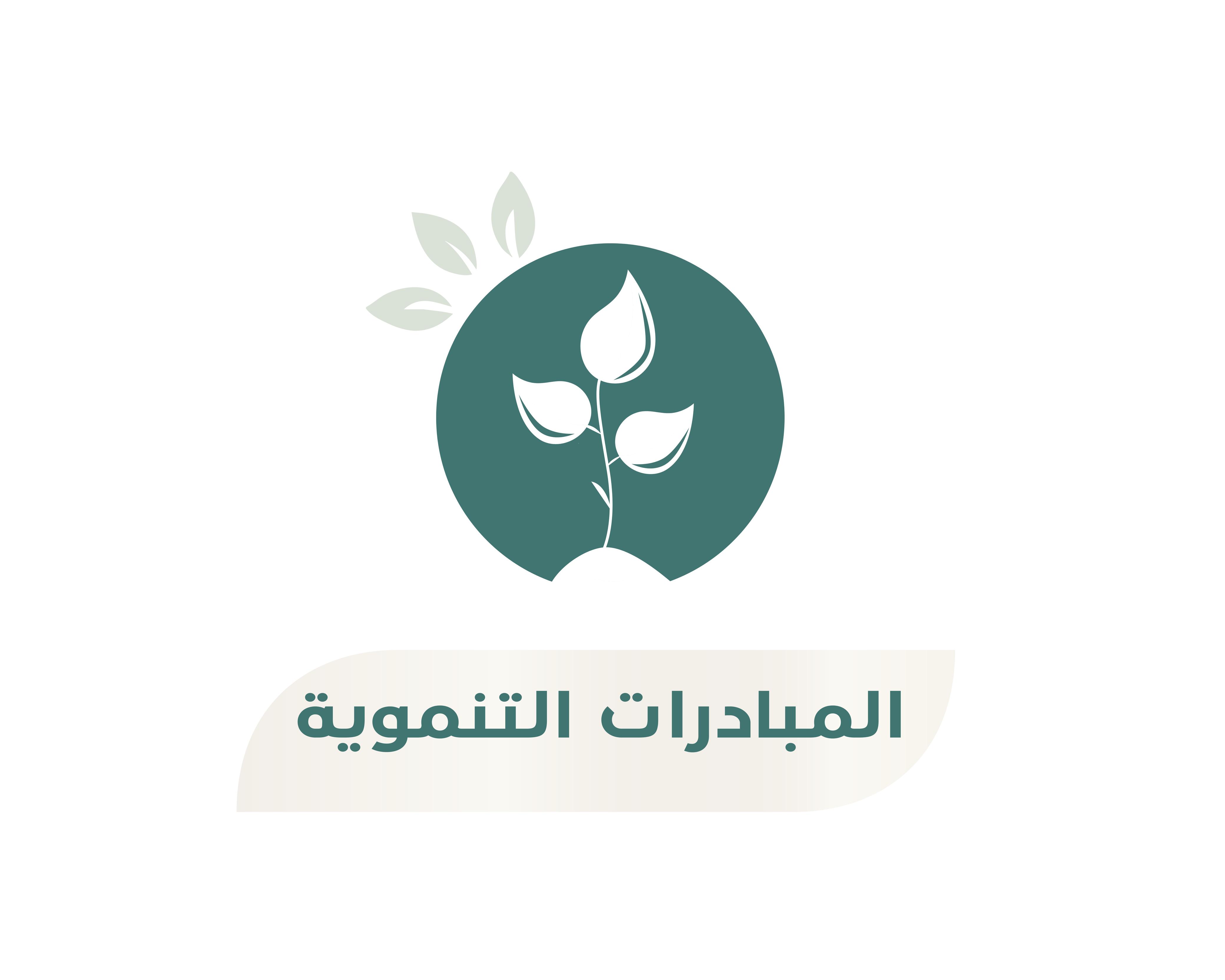 المبادرات التنموية 